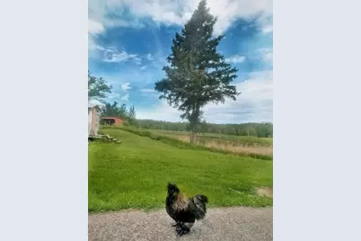 56307 Loon Avenue, McGregor, MN 55760 - Photo 36