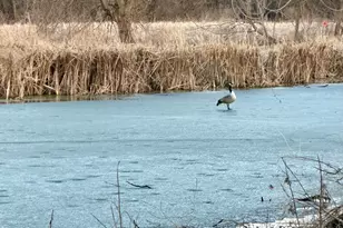 1005 12th St SE, Waseca, MN 56093 - Photo 34