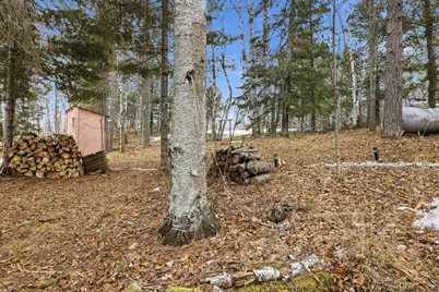 26159 County Road 345, Bigfork, MN 56628 - Photo 38