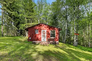 26159 County Road 345, Bigfork, MN 56628 - Photo 1