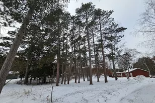 24569 County 18, Nevis, MN 56467 - Photo 8