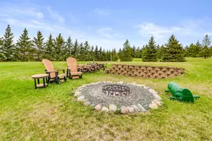 29701 Buffalo Run, Rochert, MN 56578 - Photo 10