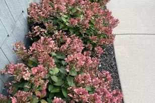 17031 Kerrick Ct, Lakeville, MN 55044 - Photo 56