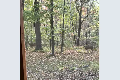 4380 Eagles Nest Road, Webster, WI 54893 - Photo 8