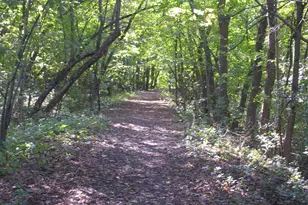 14832 Hickory Ct, Eden Prairie, MN 55346 - Photo 40