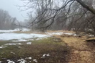 21701 575th Ave, Litchfield, MN 55355 - Photo 34