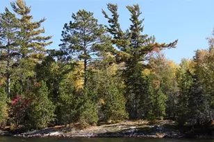 8481 Wakemup Narrows N, Cook, MN 55771 - Photo 12