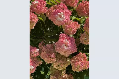 9717 Toledo Road, Bloomington, MN 55437 - Photo 6