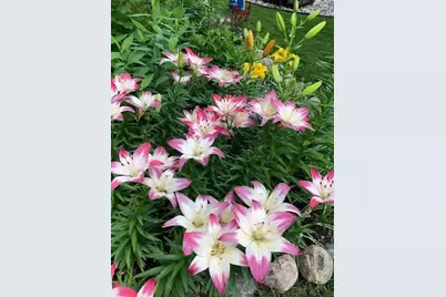 2658 Shadow Lane, Chaska, MN 55318 - Photo 66