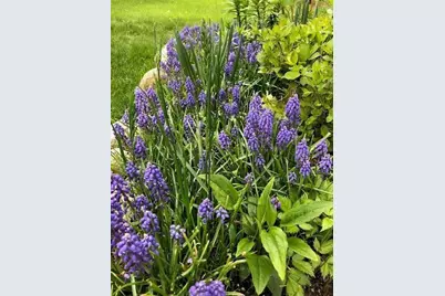 2658 Shadow Lane, Chaska, MN 55318 - Photo 56