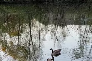 343 Sophia Ave E, Maplewood, MN 55117 - Photo 26