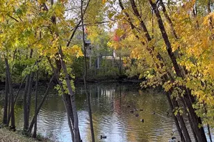 343 Sophia Ave E, Maplewood, MN 55117 - Photo 28