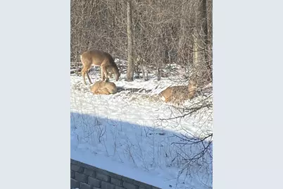 1621 City View Drive, Eagan, MN 55121 - Photo 20