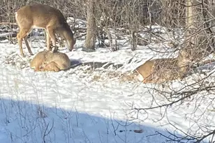 1621 City View Dr, Eagan, MN 55121 - Photo 20