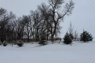 1825 210th St, Madison, MN 56256 - Photo 62