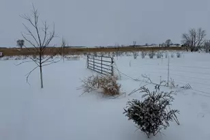 1825 210th St, Madison, MN 56256 - Photo 68