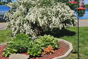 10458 Angler Dr, Grey Eagle, MN 56336 - Photo 16