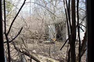 12595 Morris Trail N, Marine on Saint Croix, MN 55047 - Photo 8