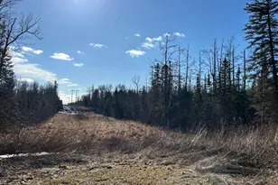 22841 Hwy 71 NE, Hines, MN 56647 - Photo 84