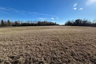 22841 Hwy 71 NE, Hines, MN 56647 - Photo 94