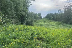 22841 Hwy 71 NE, Hines, MN 56647 - Photo 84