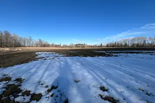 22841 Hwy 71 NE, Hines, MN 56647 - Photo 100