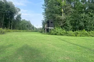 22841 Hwy 71 NE, Hines, MN 56647 - Photo 86