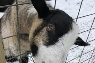 22841 Hwy 71 NE, Hines, MN 56647 - Photo 26