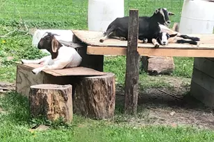 22841 Hwy 71 NE, Hines, MN 56647 - Photo 120