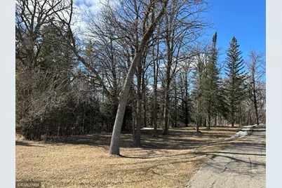 22841 Hwy 71 NE #22841/22843, Hines, MN 56647 - Photo 60