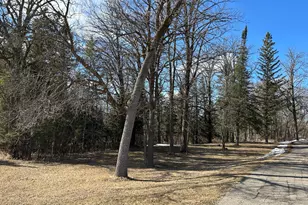 22841 Hwy 71 NE, Hines, MN 56647 - Photo 60