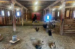 22841 Hwy 71 NE, Hines, MN 56647 - Photo 14