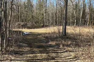 22841 Hwy 71 NE, Hines, MN 56647 - Photo 80