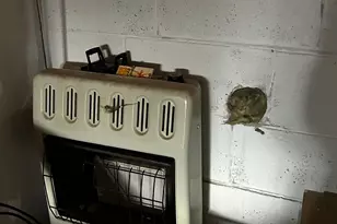 22841 Hwy 71 NE, Hines, MN 56647 - Photo 28