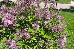 112 Rustle Rd, Jordan, MN 55352 - Photo 36