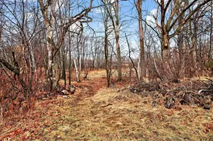 9531 242nd Ln NE, Stacy, MN 55079 - Photo 54