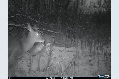 Tbd Variolite St NW, Saint Francis, MN 55070 - Photo 6