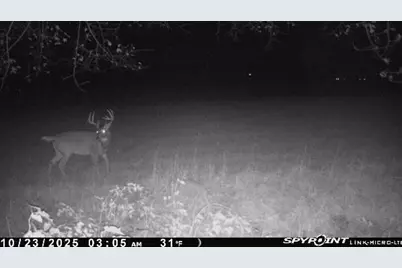 Tbd Variolite St NW, Saint Francis, MN 55070 - Photo 4