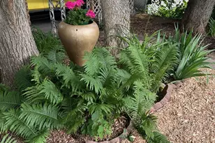 3622 Upton Ave N, Minneapolis, MN 55412 - Photo 30