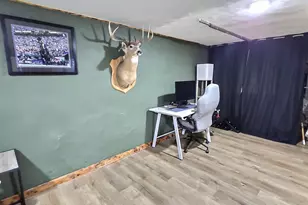 311 Big Woods Ln, Annandale, MN 55302 - Photo 30