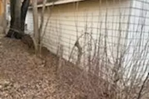 2830 5th Ave E, Hibbing, MN 55746 - Photo 6