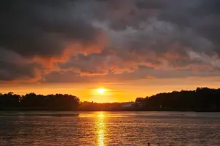 36365 654th Ave, Watkins, MN 55389 - Photo 16