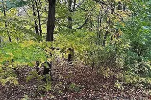 7783 Kingsview Ln N, Maple Grove, MN 55311 - Photo 30