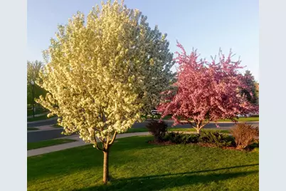 16931 E Lake Drive, Lakeville, MN 55044 - Photo 54