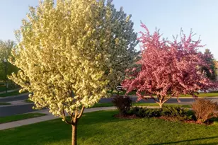 16931 E Lake Dr, Lakeville, MN 55044 - Photo 54