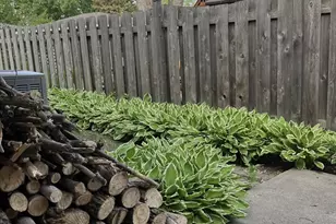 318 Dale Ave, Moorhead, MN 56560 - Photo 48