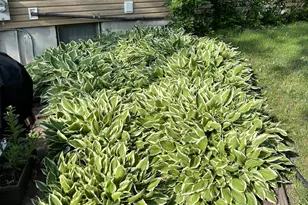 318 Dale Ave, Moorhead, MN 56560 - Photo 50