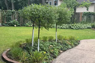 15011 Oakland Ave, Burnsville, MN 55306 - Photo 56