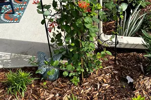 1922 Sandstone Loop S, Sartell, MN 56377 - Photo 42