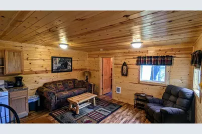 10060 Gappa Road, Kabetogama, MN 56669 - Photo 44
